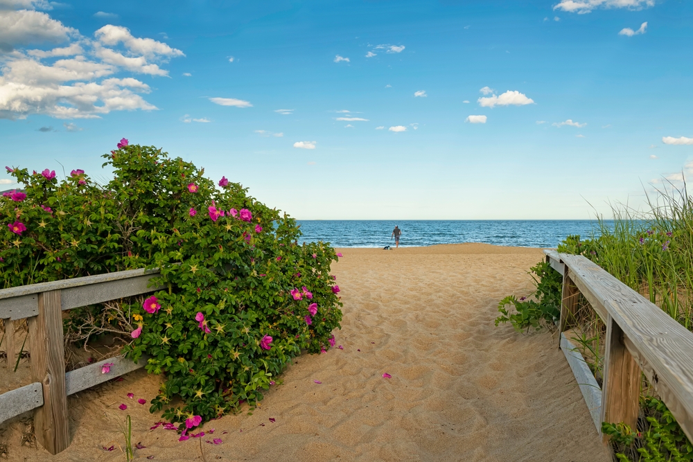 Two in the Bush: Still Time to Lock in Long-Term Rates - Parametric ...