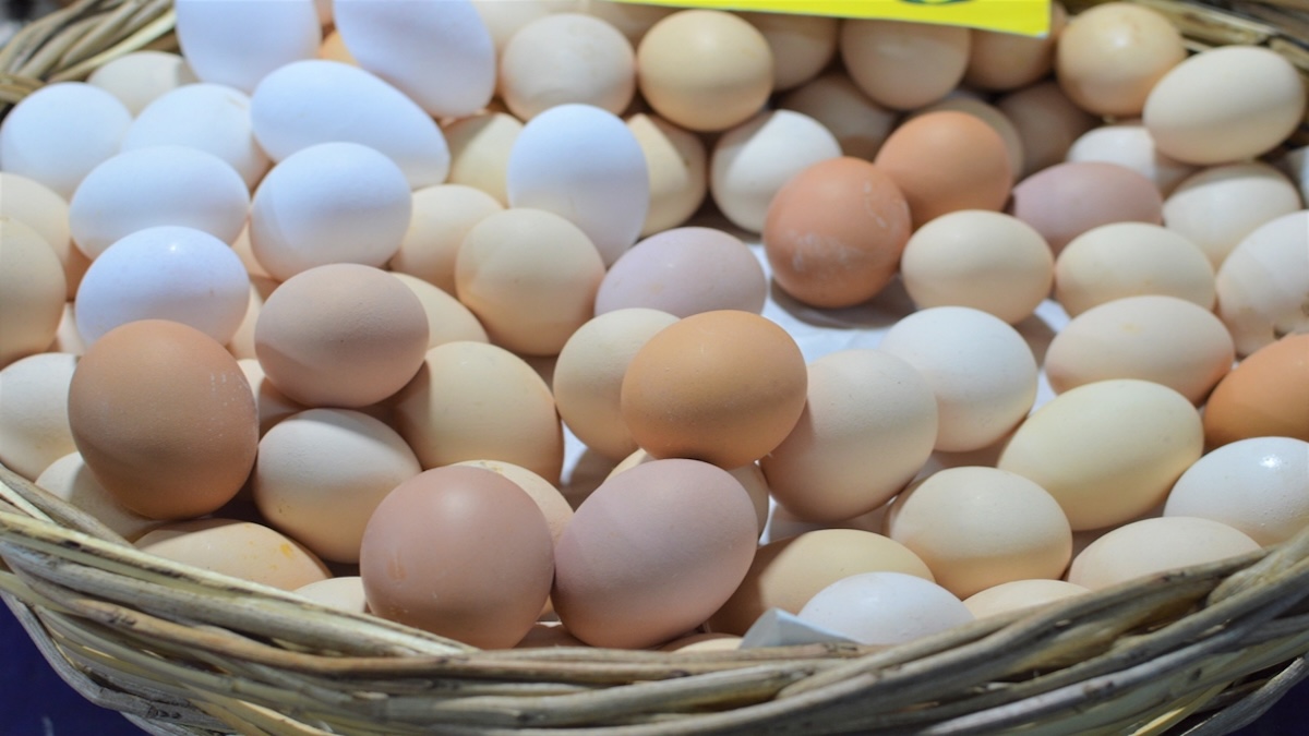 Value Breakout Shows Benefits of Diversification