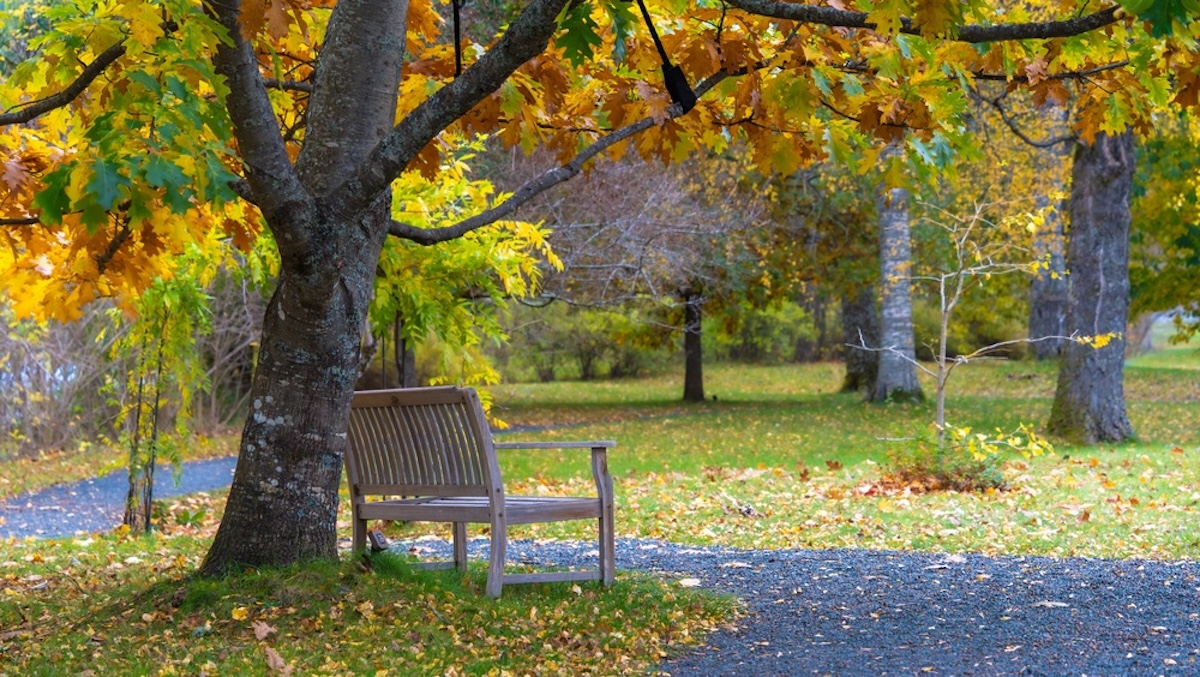 October Pause