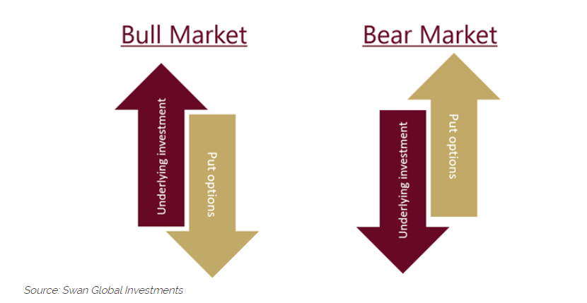 Bull and Bear Market