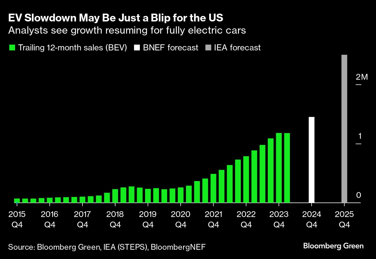 EV slowdown