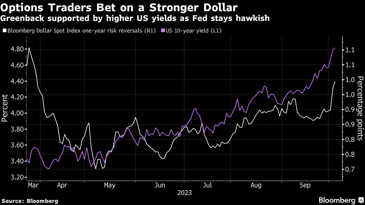 Option Traders Bet on a Stronger Dollar