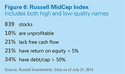 Russell Midcap Index