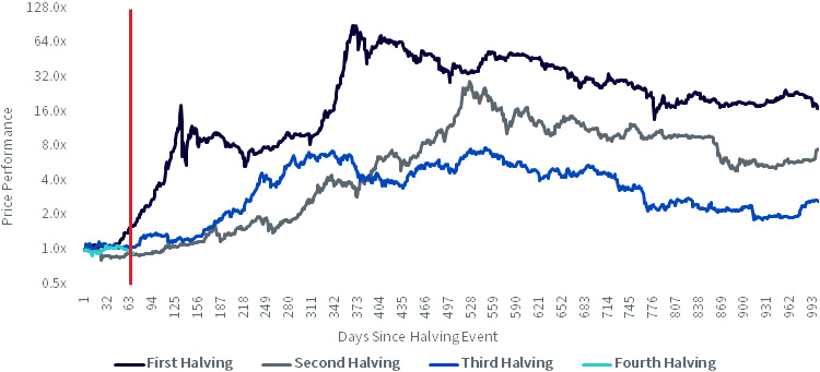 Bitcoin Price Performance Post Historical Halving Events