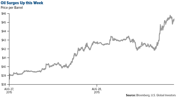 oil surges up this week