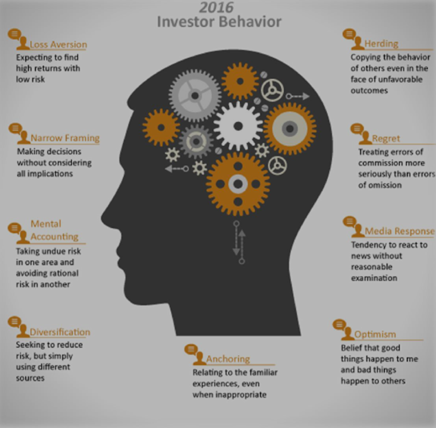 2016 investor behavior