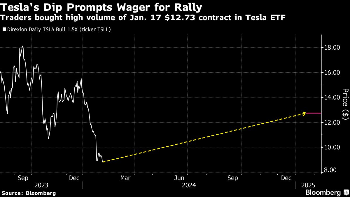 Tesla's Dip Prompts Wager for Rally
