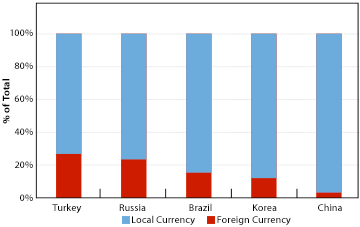 Foreign Currency Loans