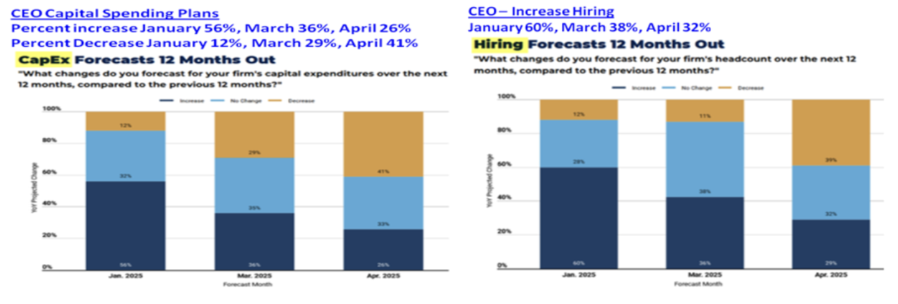 CEO capital