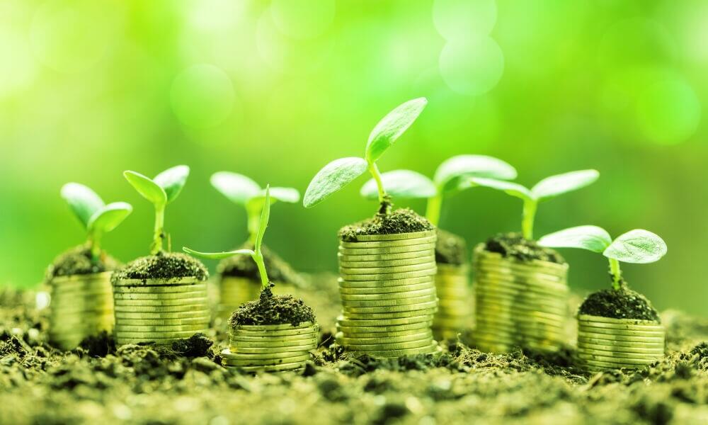 Click to view